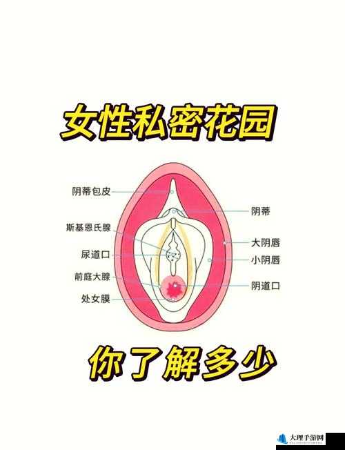 羞羞网站入口：探索未知的私密领域