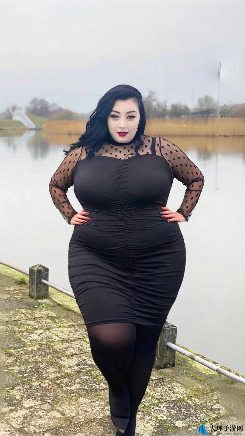 丰满 BBwBBwBBwBBW ：展现迷人魅力与独特风采的视觉盛宴