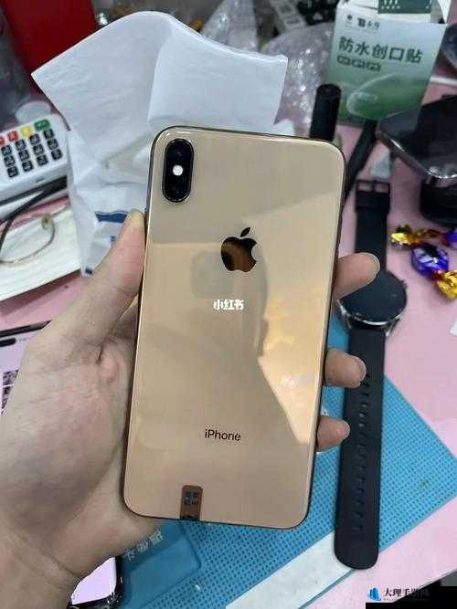 欧美 iPhone XS Max 海量精彩内容等你来探索