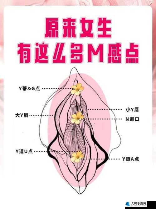 怎么紧致小花园：女性私密处保养紧致的方法与技巧大揭秘