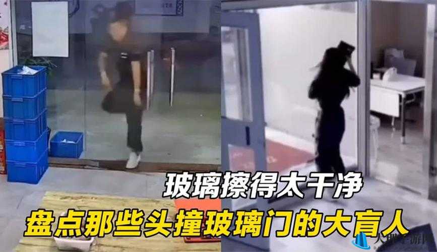 9 分 42 秒头撞玻璃：这一惊人举动背后的原因与影响