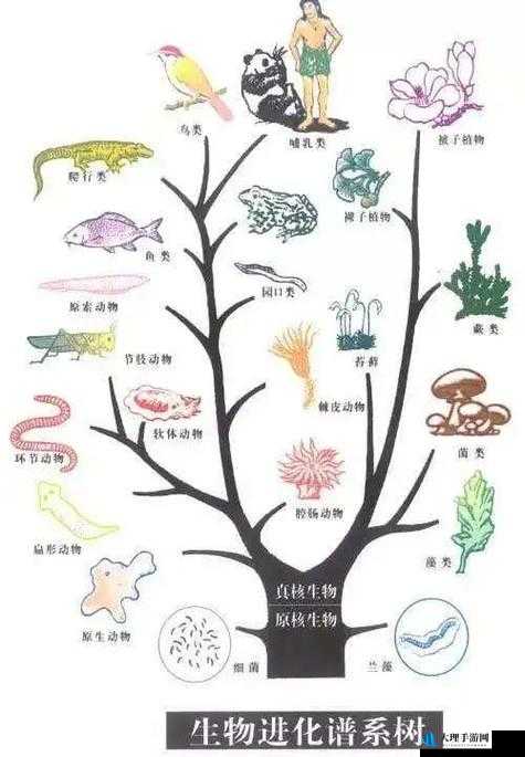 人种与畜禽共性的辩证关系：从生物学角度看人类与动物的亲缘关系