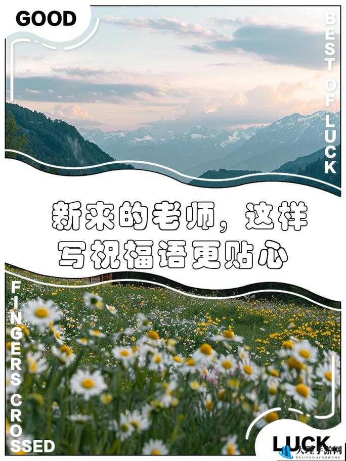 新来的老师 3：开启知识之旅的全新引路人