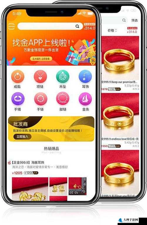 黄金站 app 视频大全：涵盖各类精彩视频，满足你的多样需求