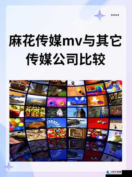 麻花传媒 MV 与其他传媒公司的比较之优势与差异分析