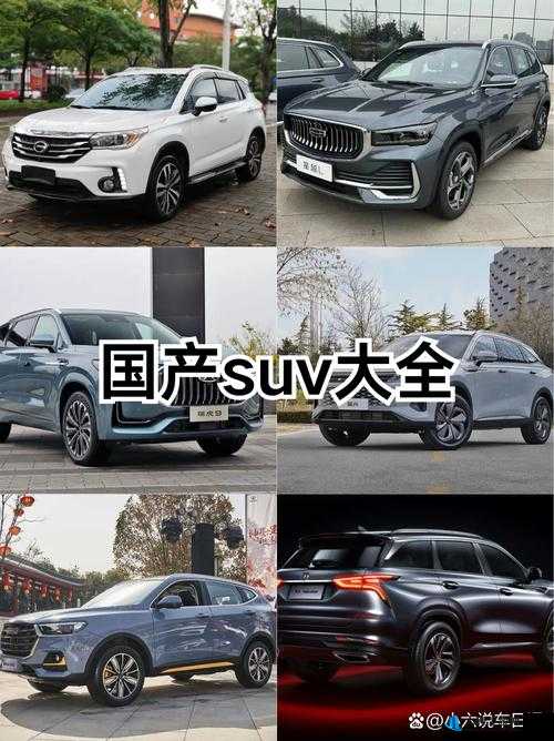 国产 SUV 精品一区二区 6：高品质、高性能、高性价比的代表