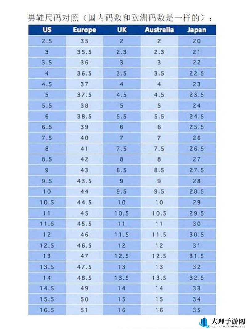 透彻理解欧洲码欧洲尺码M高清之详细解读与深入分析