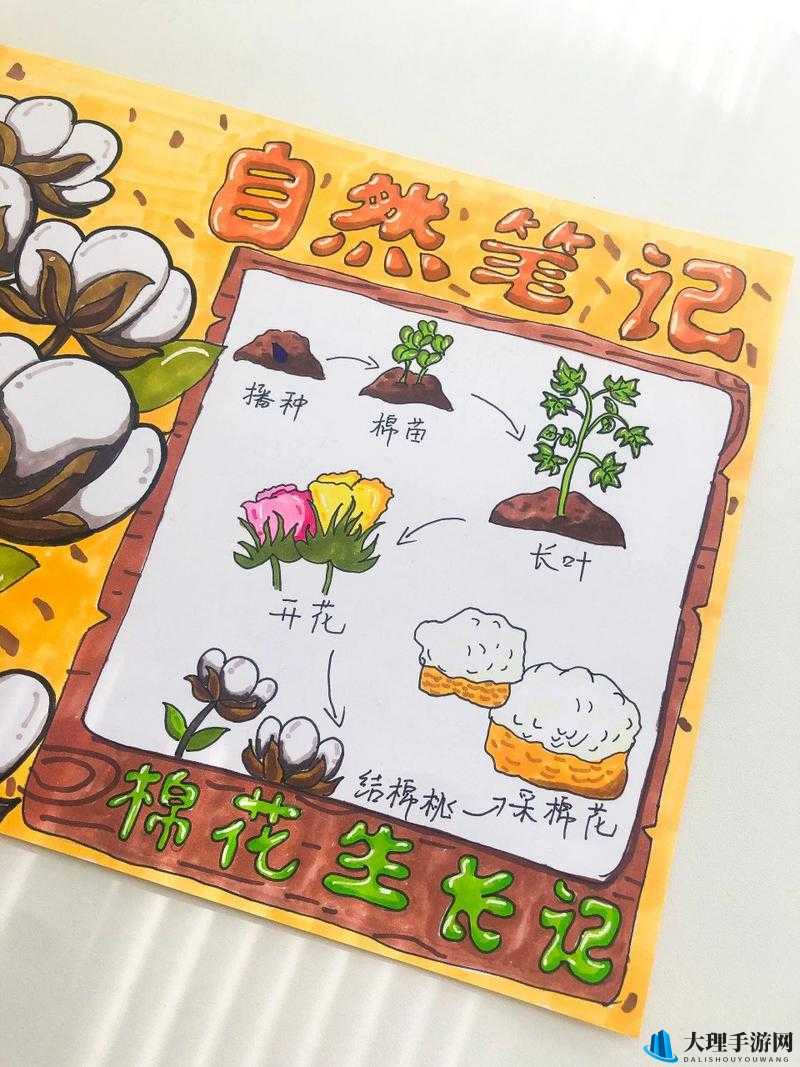 卡通农场棉花种植技巧与全面解析