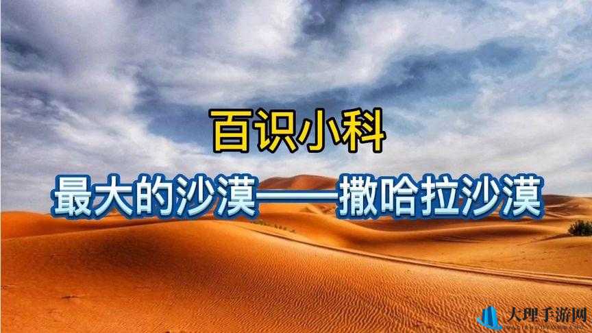 小科科 APP 软件隐藏入口：探寻其背后的神秘面纱与未知领域